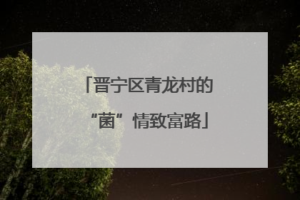 晋宁区青龙村的“菌”情致富路