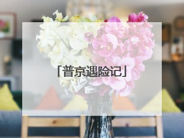 普京遇险记