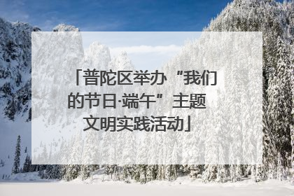 普陀区举办“我们的节日·端午”主题文明实践活动