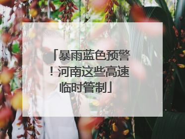 暴雨蓝色预警！河南这些高速临时管制