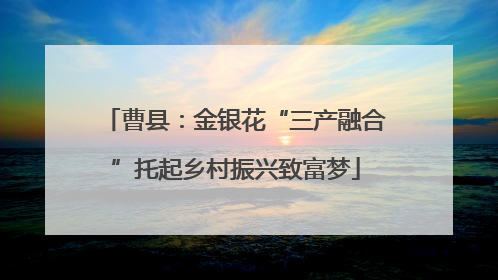 曹县：金银花“三产融合”托起乡村振兴致富梦
