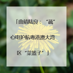 曲靖陆良：“蔬”心电护航粤港澳大湾区“菜篮子”