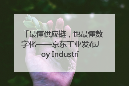 最懂供应链，也最懂数字化——京东工业发布Joy Industrial 重塑工业未来