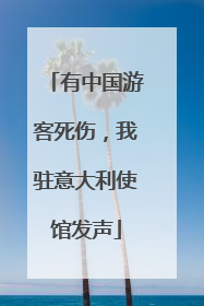 有中国游客死伤，我驻意大利使馆发声