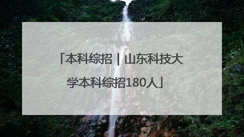 本科综招｜山东科技大学本科综招180人