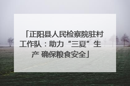 正阳县人民检察院驻村工作队：助力“三夏”生产 确保粮食安全