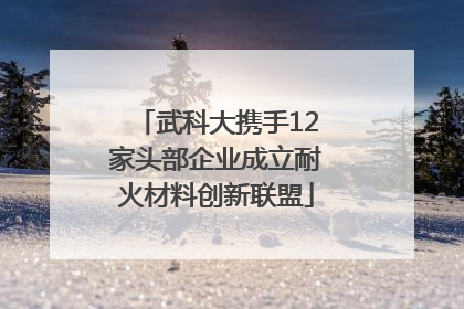 武科大携手12家头部企业成立耐火材料创新联盟