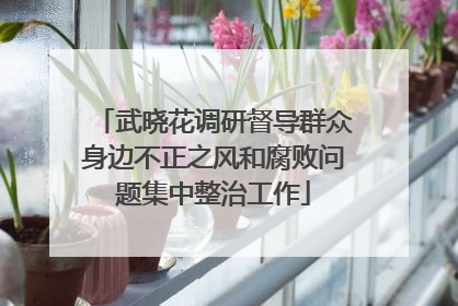 武晓花调研督导群众身边不正之风和腐败问题集中整治工作