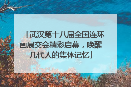 武汉第十八届全国连环画展交会精彩启幕，唤醒几代人的集体记忆