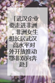 武汉企业要走进非洲，非洲女生想长居武汉 高水平对外开放推动鄂非双向奔赴