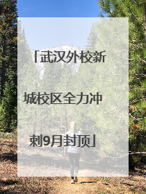 武汉外校新城校区全力冲刺9月封顶