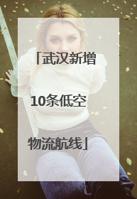 武汉新增10条低空物流航线