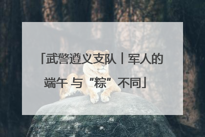 武警遵义支队︱军人的端午 与“粽”不同