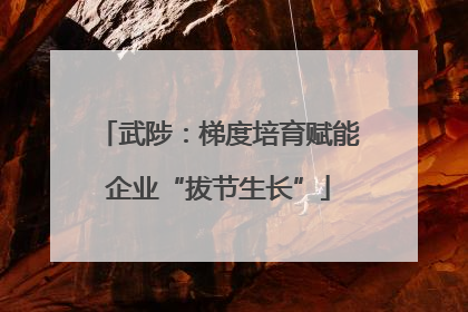 武陟：梯度培育赋能企业“拔节生长”