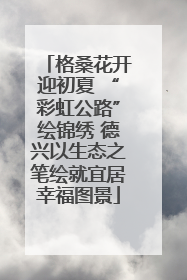 格桑花开迎初夏 “彩虹公路”绘锦绣 德兴以生态之笔绘就宜居幸福图景