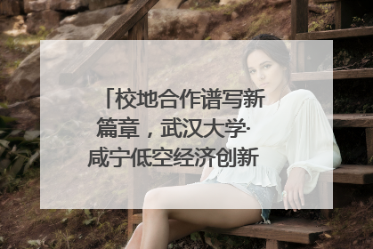 校地合作谱写新篇章，武汉大学·咸宁低空经济创新研究院签约成立