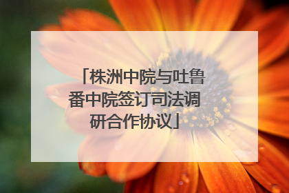 株洲中院与吐鲁番中院签订司法调研合作协议