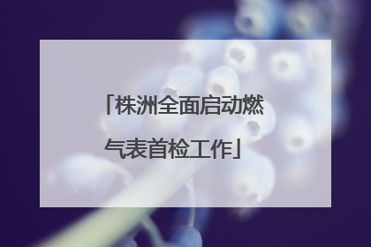 株洲全面启动燃气表首检工作