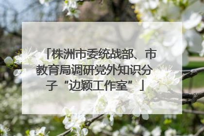 株洲市委统战部、市教育局调研党外知识分子“边颖工作室”