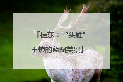 桂东：“头雁”王镇的蓝图美景
