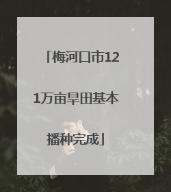 梅河口市121万亩旱田基本播种完成