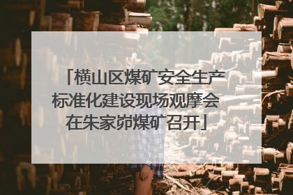 横山区煤矿安全生产标准化建设现场观摩会在朱家峁煤矿召开