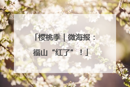 樱桃季｜微海报：福山“红了”！