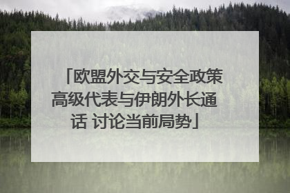 欧盟外交与安全政策高级代表与伊朗外长通话 讨论当前局势