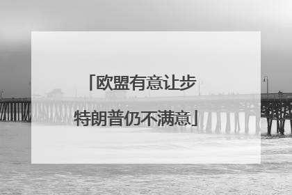 欧盟有意让步 特朗普仍不满意