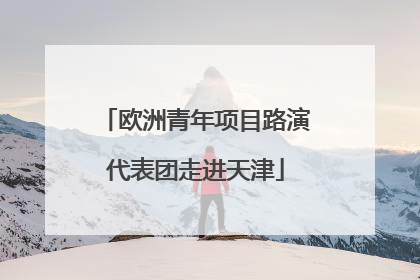 欧洲青年项目路演代表团走进天津