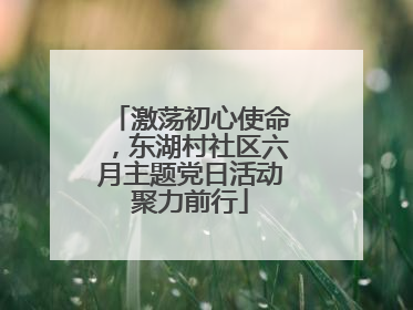 激荡初心使命，东湖村社区六月主题党日活动聚力前行