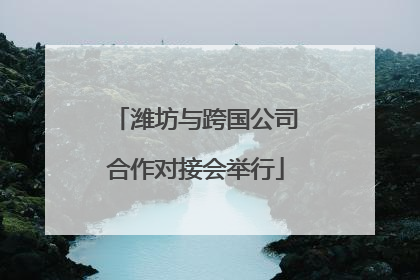 潍坊与跨国公司合作对接会举行