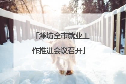 潍坊全市就业工作推进会议召开