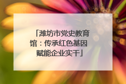 潍坊市党史教育馆：传承红色基因 赋能企业实干