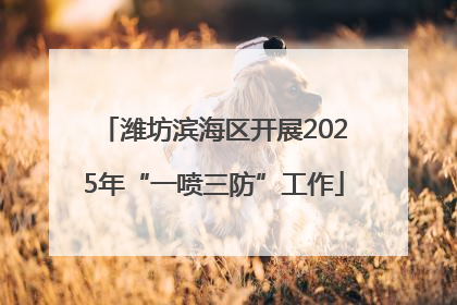 潍坊滨海区开展2025年“一喷三防”工作