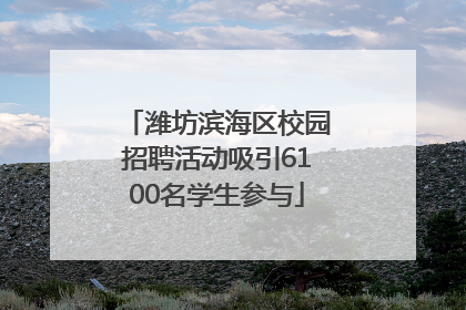 潍坊滨海区校园招聘活动吸引6100名学生参与