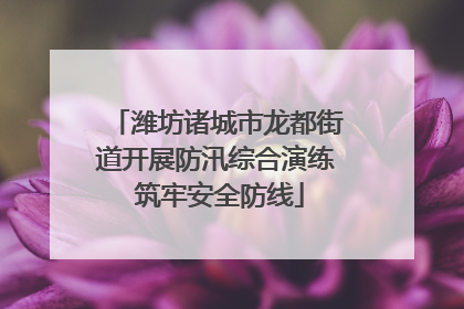 潍坊诸城市龙都街道开展防汛综合演练 筑牢安全防线