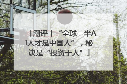 潮评丨“全球一半AI人才是中国人”，秘诀是“投资于人”