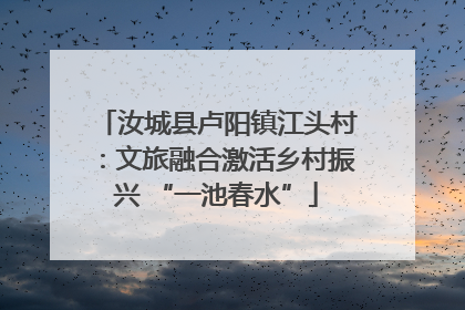 汝城县卢阳镇江头村：文旅融合激活乡村振兴 “一池春水”
