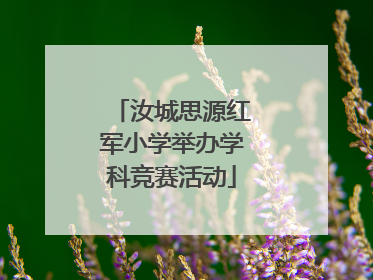 汝城思源红军小学举办学科竞赛活动