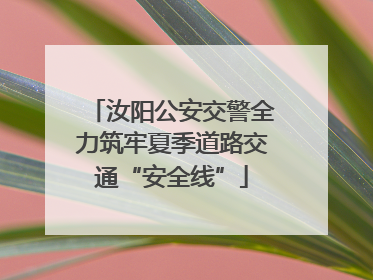 汝阳公安交警全力筑牢夏季道路交通“安全线”