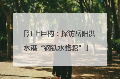 江上巨构：探访岳阳洪水港“钢铁水骆驼”