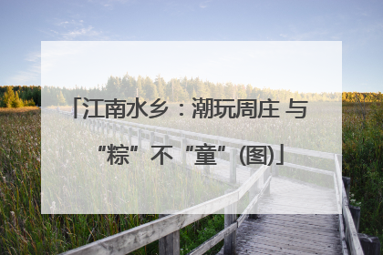 江南水乡：潮玩周庄 与“粽”不“童”(图)