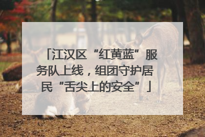 江汉区“红黄蓝”服务队上线，组团守护居民“舌尖上的安全”