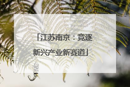 江苏南京：竞逐新兴产业新赛道