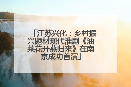 江苏兴化：乡村振兴题材现代淮剧《油菜花开燕归来》在南京成功首演
