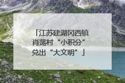 江苏建湖冈西镇肖荡村“小积分”兑出“大文明”