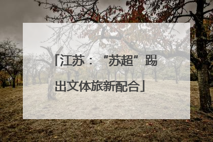 江苏：“苏超”踢出文体旅新配合