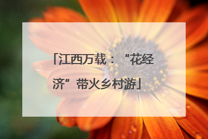 江西万载：“花经济”带火乡村游