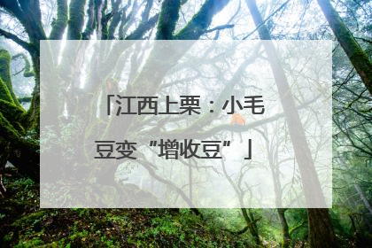 江西上栗：小毛豆变“增收豆”